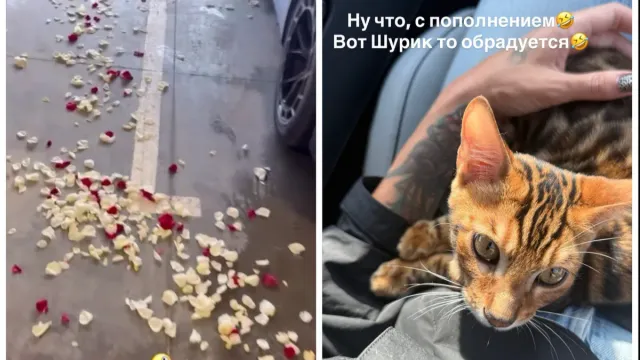 Настя Ивлеева показала необычный сюрприз от мужа