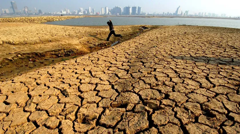 Ученые установили, что изменение климата во всем мире становится причиной частых засух