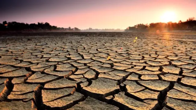 Климатолог Ильин: глобальная жара приведет к сильной засухе и неурожаю нескольких культур