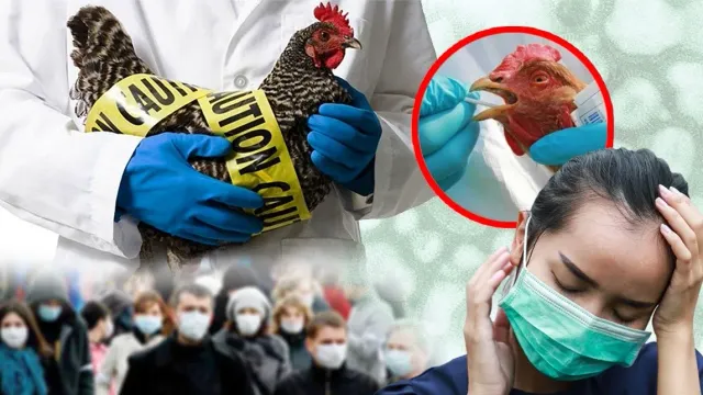 Вирусолог Чумаков рассказала, может ли грипп вызвать новую пандемию