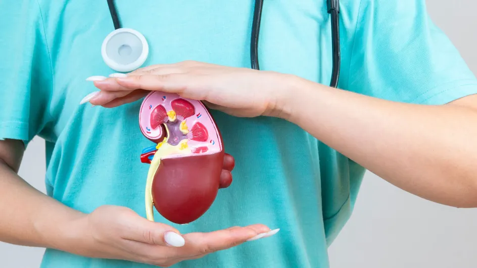 Врач назвал продукты, из-за которых в почках появляются камни